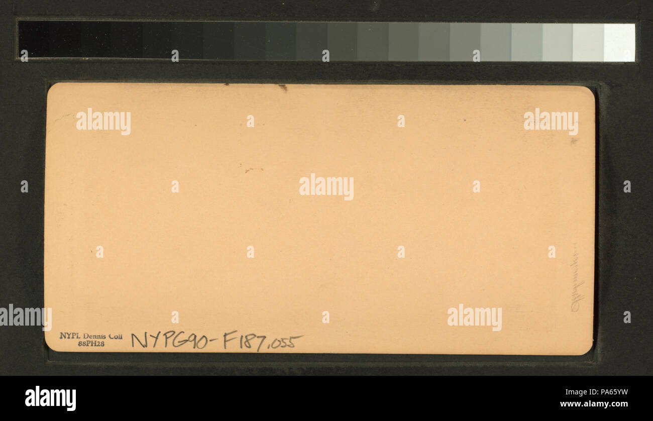 653 pesca presentano, U.S. Palazzo del Governo, della Fiera del Mondo di Chicago, U.S.A (NYPL B11707464-G90F187 055B) Foto Stock