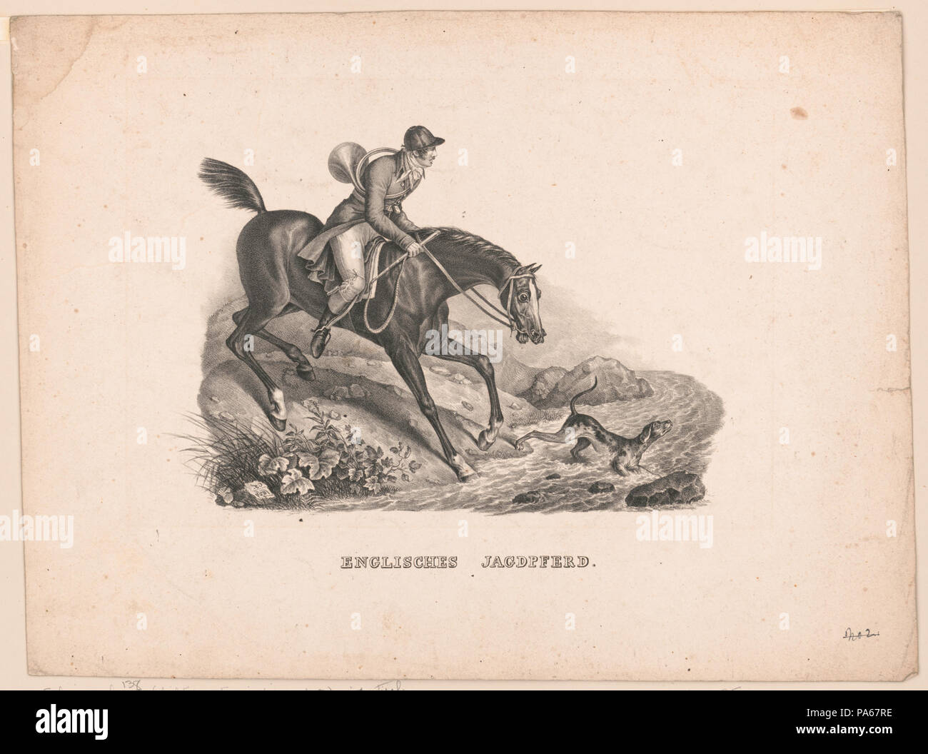 620 Englisches jagdpferd LCCN2002736918 Foto Stock