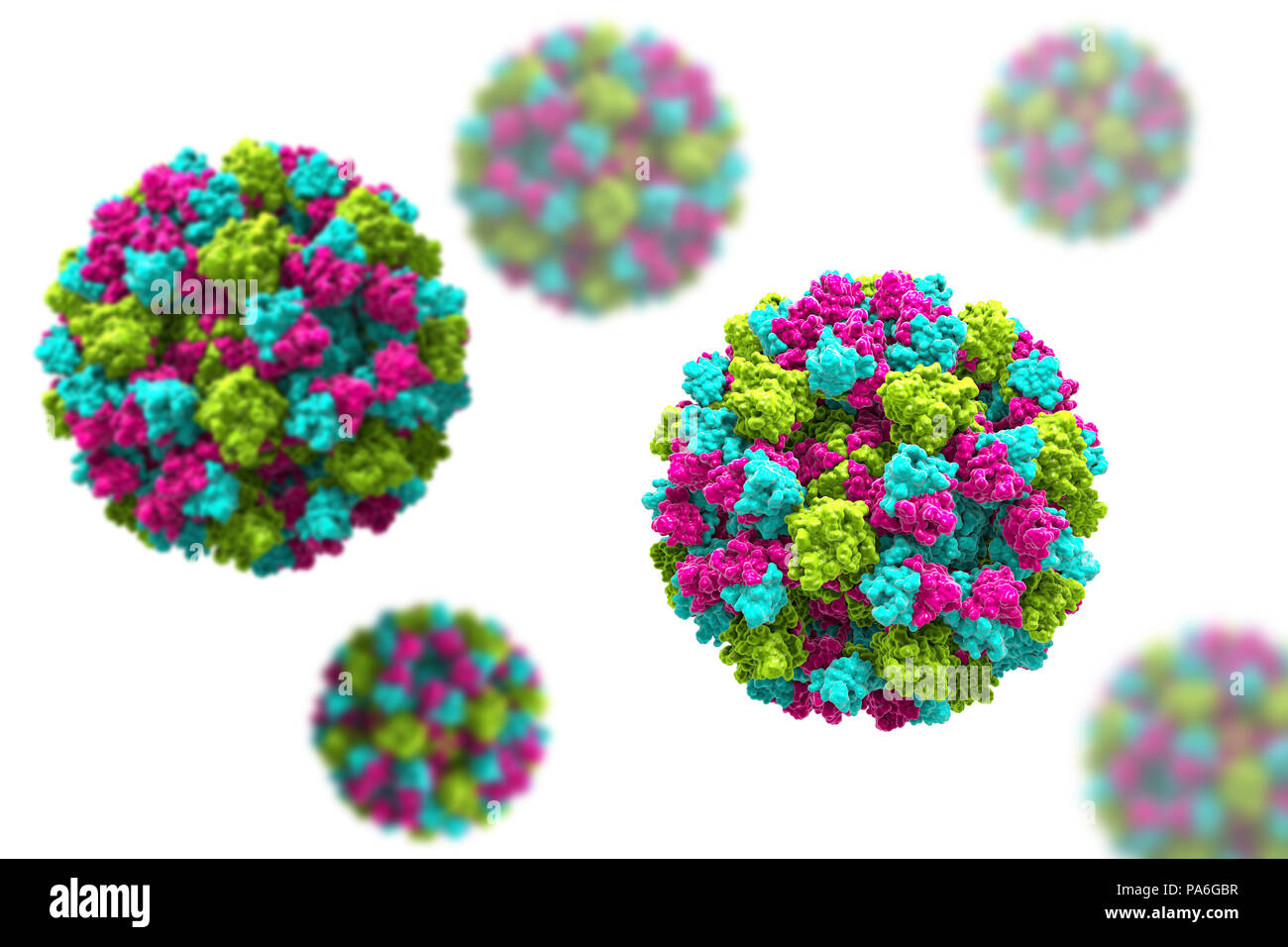 Norovirus, illustrazione del computer. Norovirus è un genere di RNA (acido ribonucleico) (virus della famiglia Caliciviridae), che sono causa di circa la metà di tutti i casi di gastroenterite in tutto il mondo. La malattia è caratterizzata da nausea, vomito, diarrea e dolori addominali. La diarrea si traduce in perdite di fluido e la disidratazione, che può diventare una minaccia per la vita nelle giovani, anziani e immunocompromessi se non trattate tempestivamente. Foto Stock