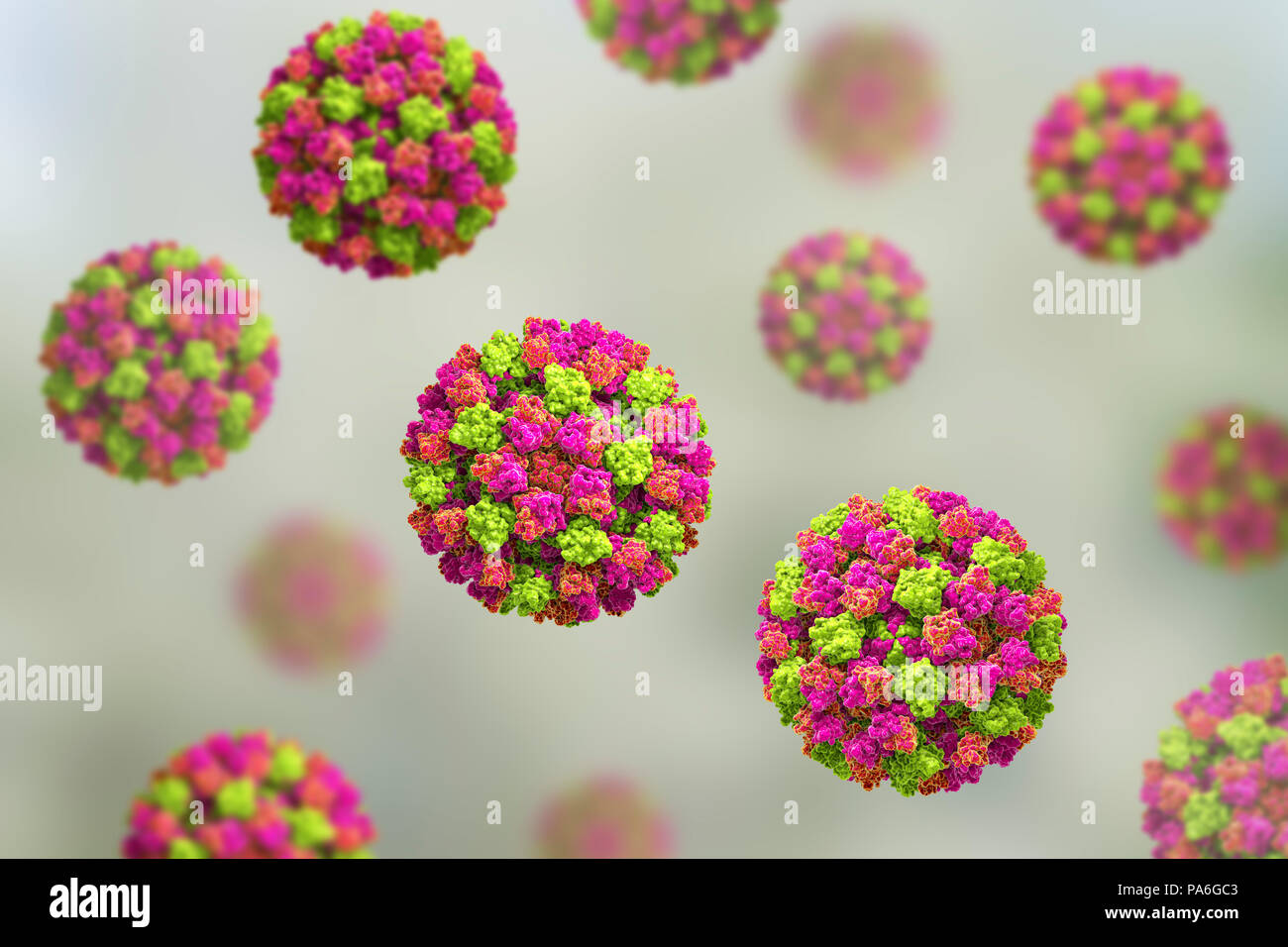 Norovirus, illustrazione del computer. Norovirus è un genere di RNA (acido ribonucleico) (virus della famiglia Caliciviridae), che sono causa di circa la metà di tutti i casi di gastroenterite in tutto il mondo. La malattia è caratterizzata da nausea, vomito, diarrea e dolori addominali. La diarrea si traduce in perdite di fluido e la disidratazione, che può diventare una minaccia per la vita nelle giovani, anziani e immunocompromessi se non trattate tempestivamente. Foto Stock