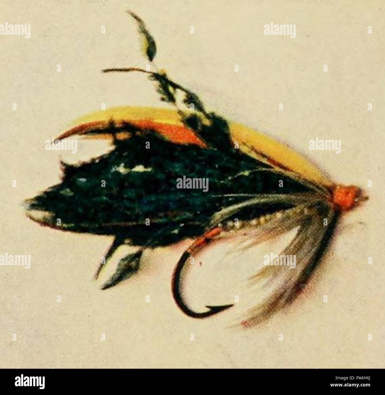 113 Alexandra da fucili e munizioni affrontare (1904) PG414 Foto Stock