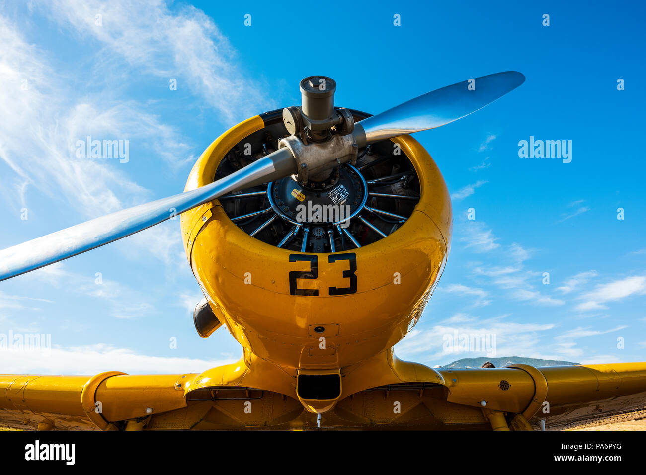 La North American Aviation T-6 texano; SNJ-5; Harriett Alexander campo; air show; Salida; Colorado; USA Foto Stock