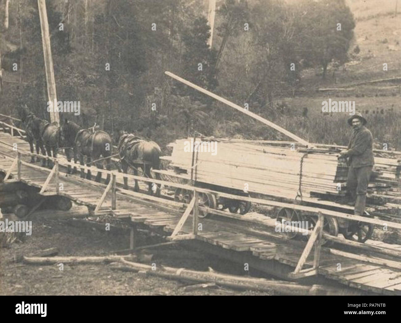 115 a cavallo il Poweltown tram a nero sabbie Creek Foto Stock
