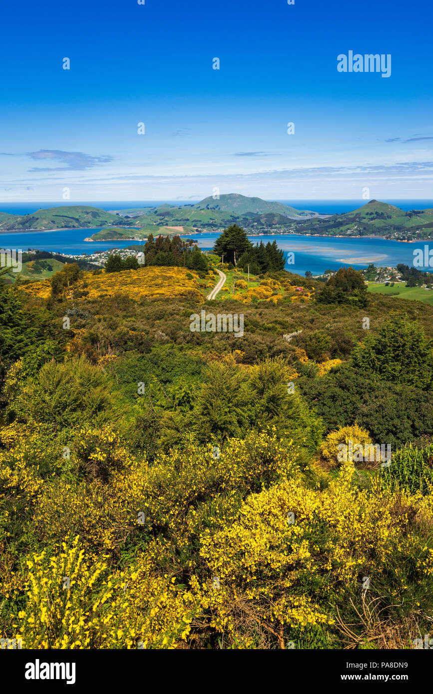 Penisola di Otago e il porto dal Monte Cargill, Otago, Isola del Sud, Nuova Zelanda Foto Stock