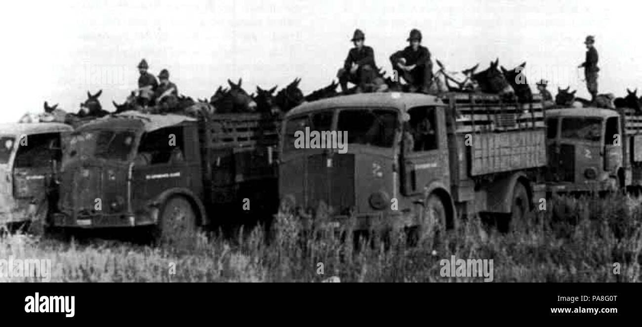 82 Fiat 666nm quadrupedi Foto Stock