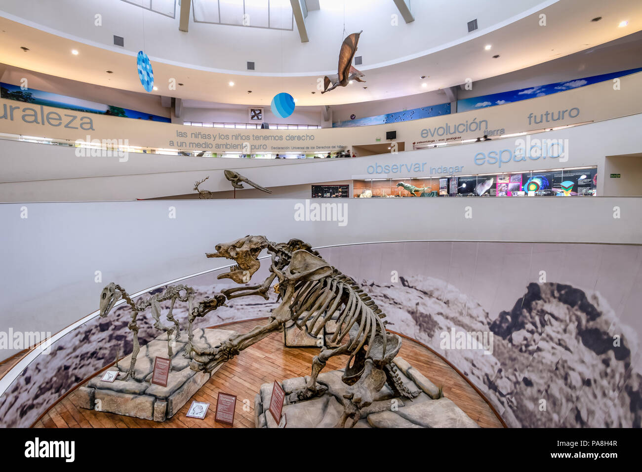 Museo di Scienze Naturali (Museo Provincial de Ciencias Naturales) interni - Cordoba, Argentina Foto Stock