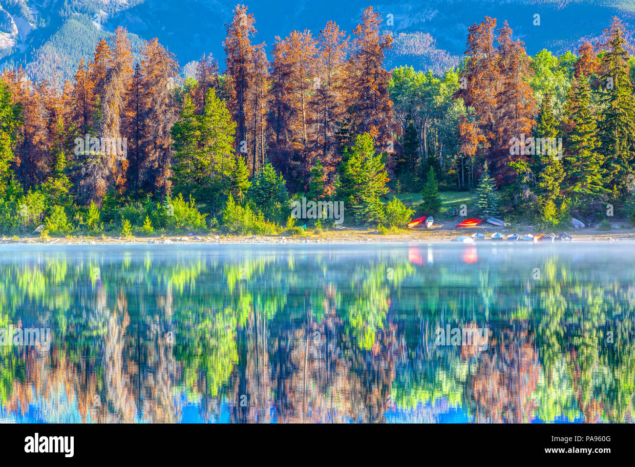 Alberi colorati rivestiti sulle rive del lago di Patricia al Parco Nazionale di Jasper, Canada. Le calme acque riflettono gli alberi e un paio di canoe sull'acqua ed Foto Stock