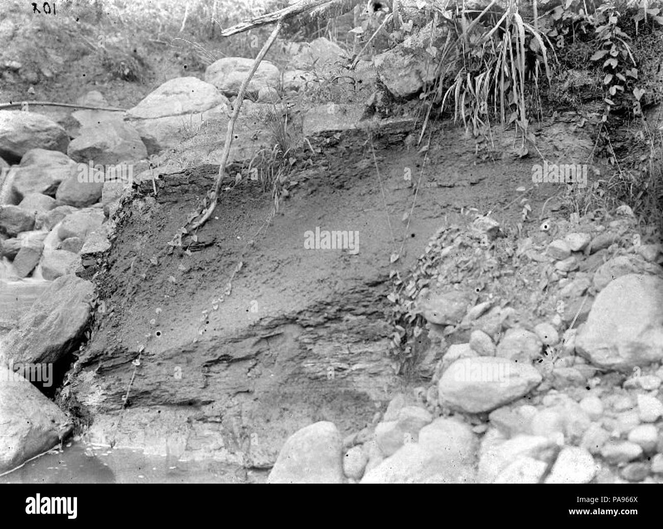 148 Kolenlaag - Collectie stichting Nationaal Museum van Wereldculturen - TM-10016327 Foto Stock