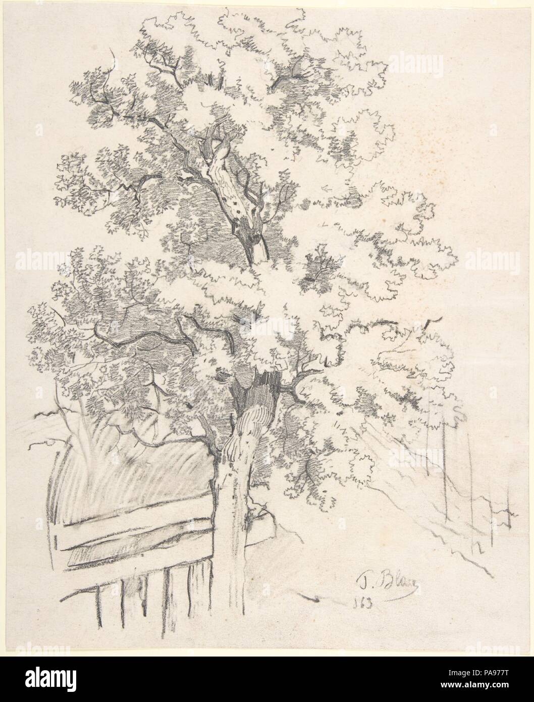 Studio di un albero. Artista: Tina Blau (austriaca a Vienna Vienna 1845-1916). Dimensioni: 10 1/16 x 8 1/8 in. (25,6 x 20,7 cm). Data: 1863. Museo: Metropolitan Museum of Art di New York, Stati Uniti d'America. Foto Stock