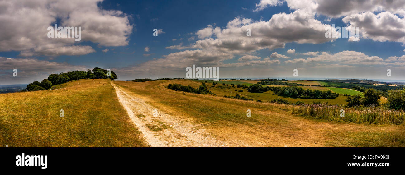Anello Chanctonbury Età del Ferro hill fort sulla South Downs Way, West Sussex, Regno Unito Foto Stock
