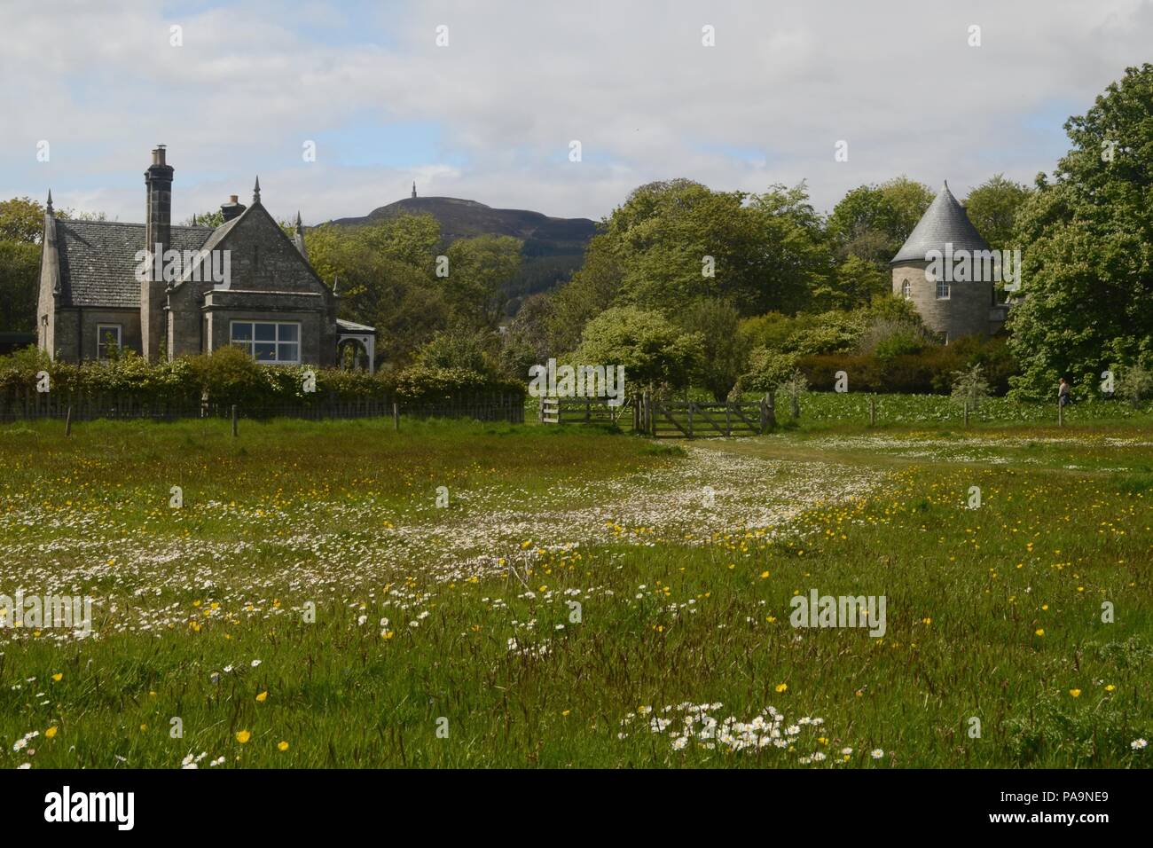 Cottage tra gli alberi sul bordo di Golspie village, Highlands scozzesi Foto Stock