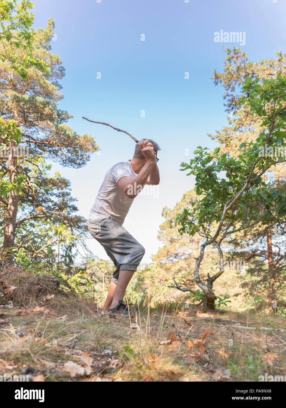 Adulto uomo caucasico batting con bastone di legno attraverso la radura nel bosco Foto Stock