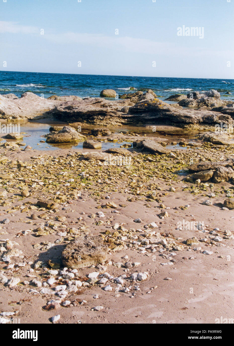 GOTLAND FÅRÖ Beach con calcare e del Mar Baltico Foto Stock