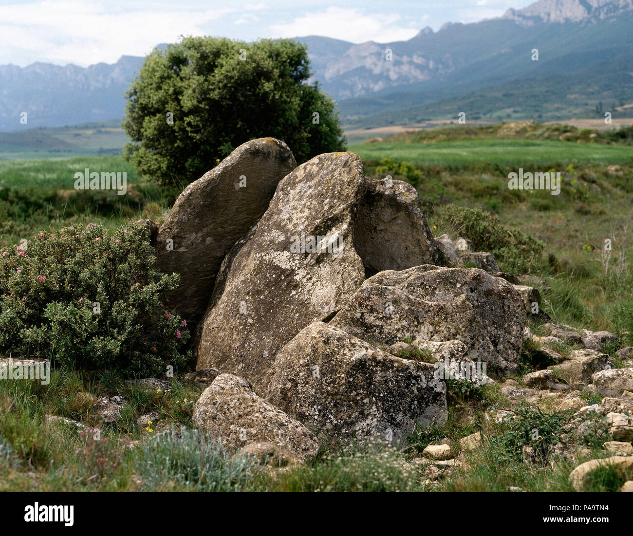 Spagna, Paesi Baschi, provincia di Alava, Laguardia. Dolmen di Alto de la Huesera. Neolitico. Periodo: Eneolitico, bronzo. Foto Stock