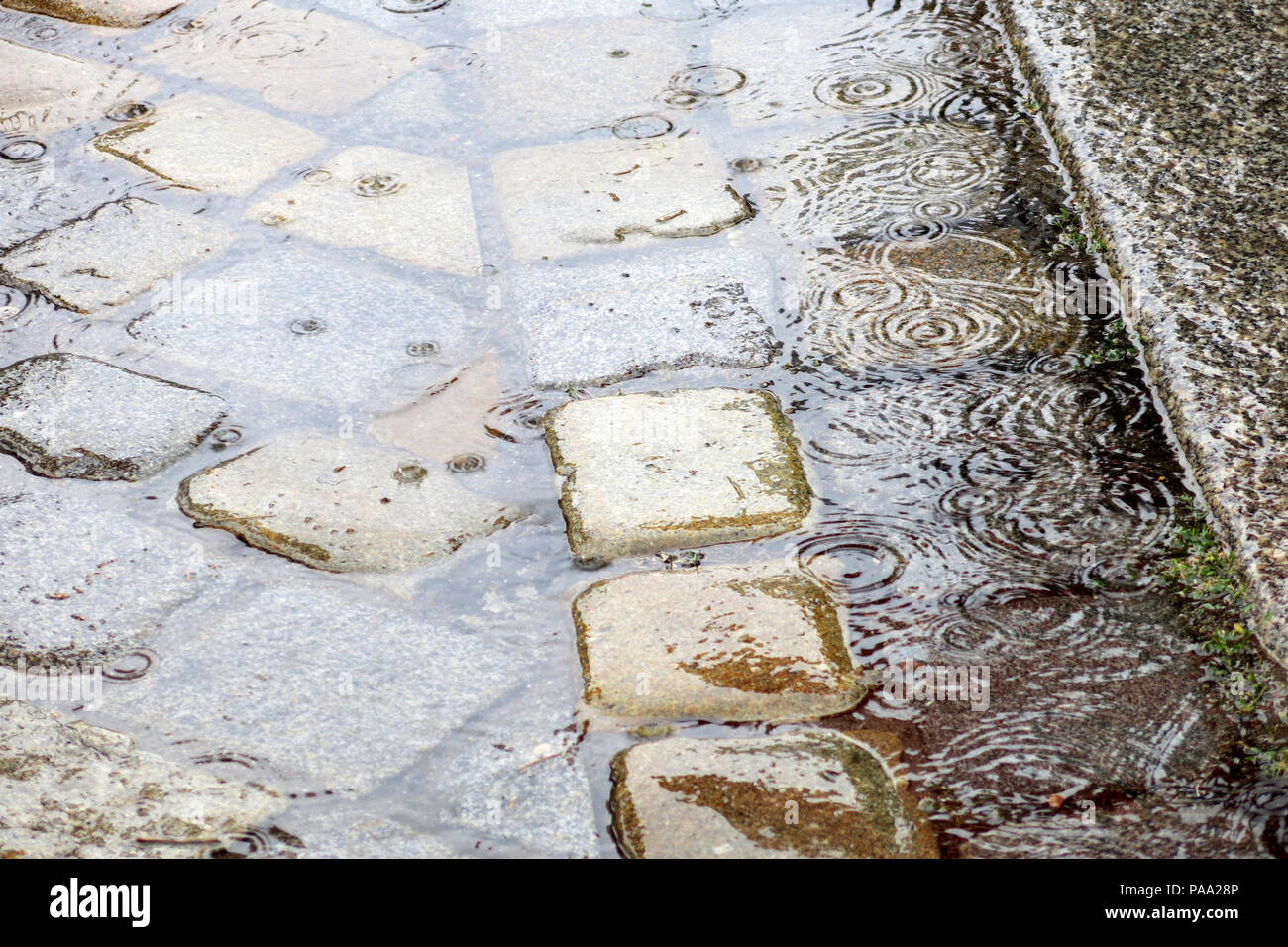 Pioggia in città - pozzanghere sulla strada di ciottoli pavimentazione - acqua gocce di pioggia Foto Stock