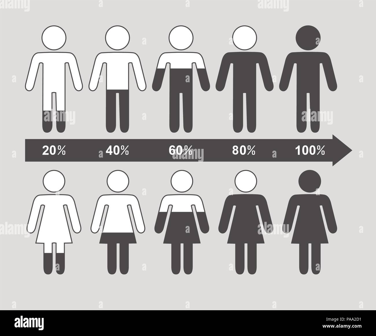 Infografico vettore della freccia percentuale grafico con i simboli del popolo, maschi e femmine figure umane, grafico della popolazione, piatto design di stile Illustrazione Vettoriale