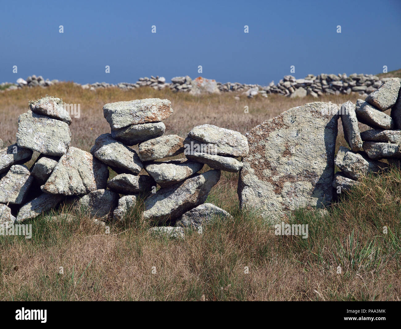 Muri in pietra a secco e i campi in Galizia, Spagna settentrionale Foto Stock
