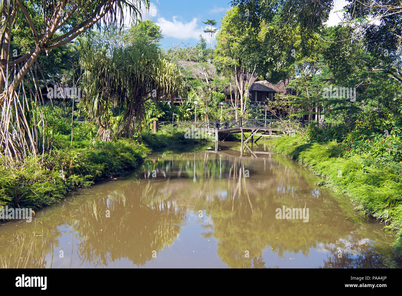 Lago ornamentale Sepilok Nature Resort Sabah Borneo malese federazione Foto Stock