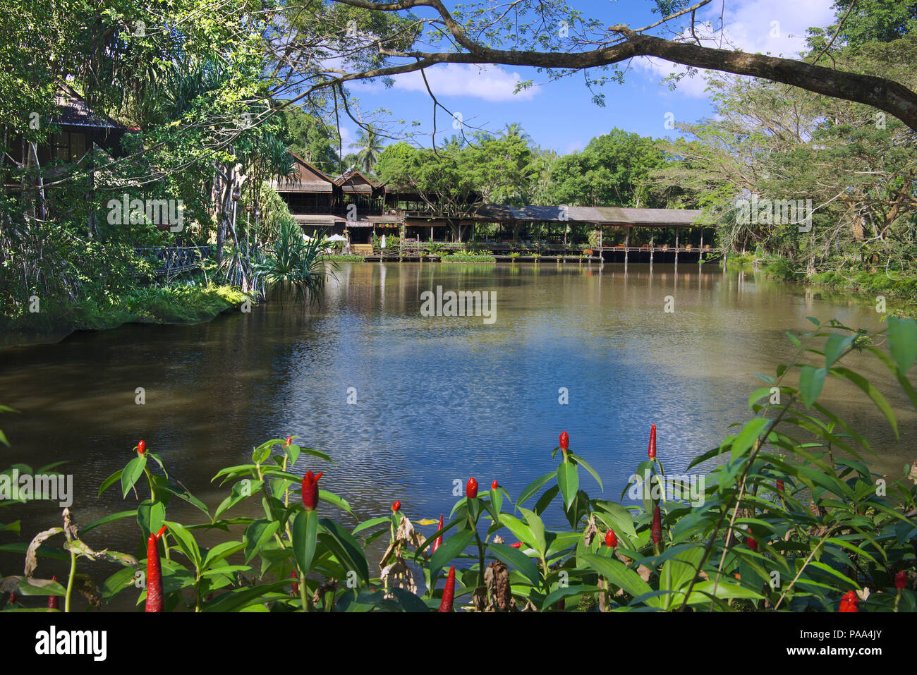 Lago ornamentale Sepilok Nature Resort Sabah Borneo malese federazione Foto Stock