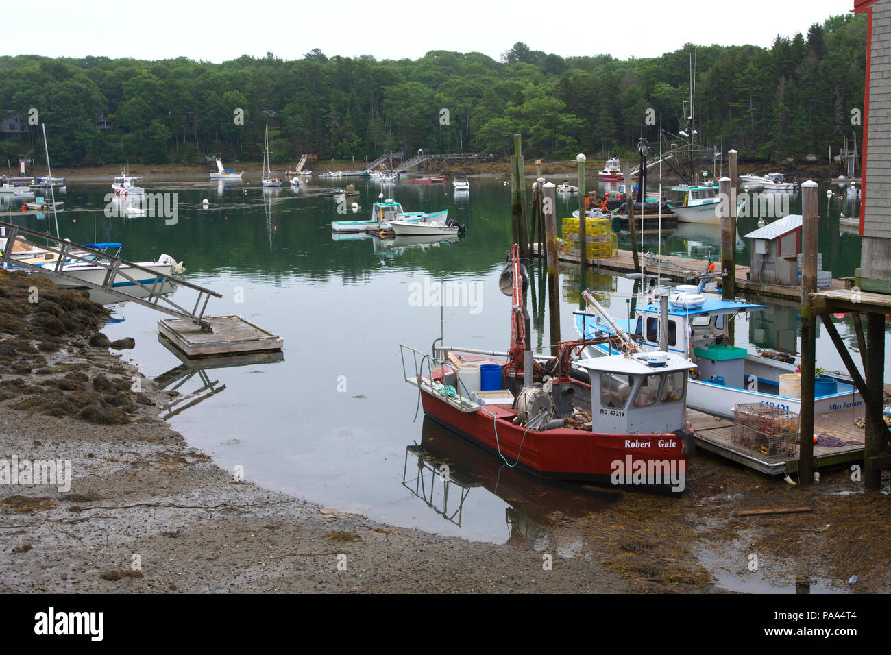 Una veduta del porto a Sud di Bristol, Maine, Stati Uniti d'America con la bassa marea. Foto Stock