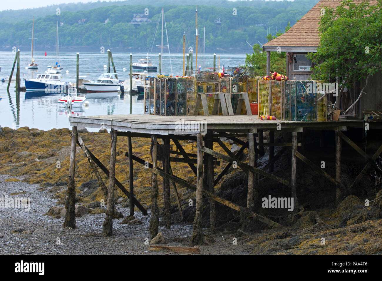 Una aragosta commerciale pier in South Bristol, Maine, Stati Uniti d'America a bassa marea Foto Stock