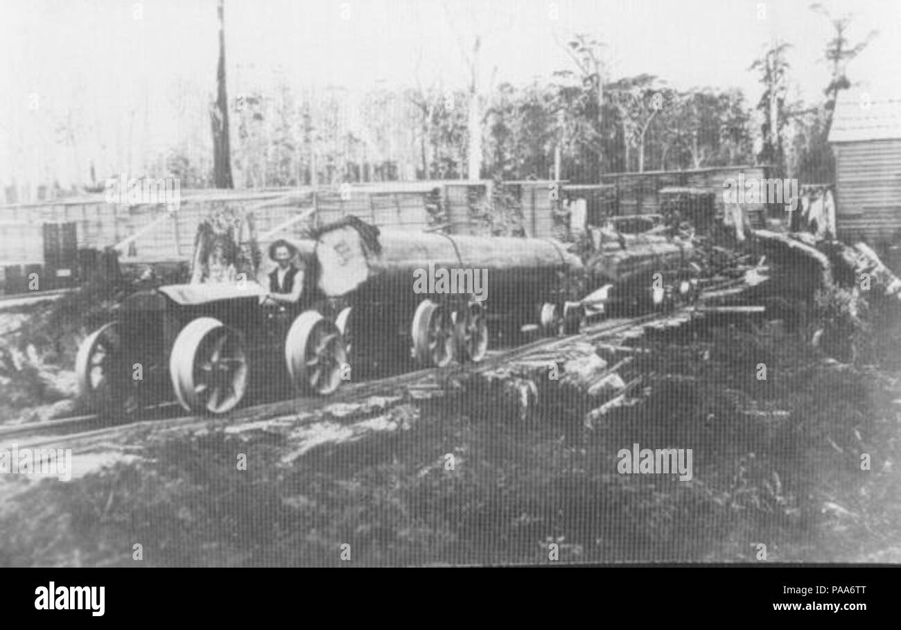 160 log essendo trainato da un trattore nel legname a Salmon River, Tasmania Foto Stock