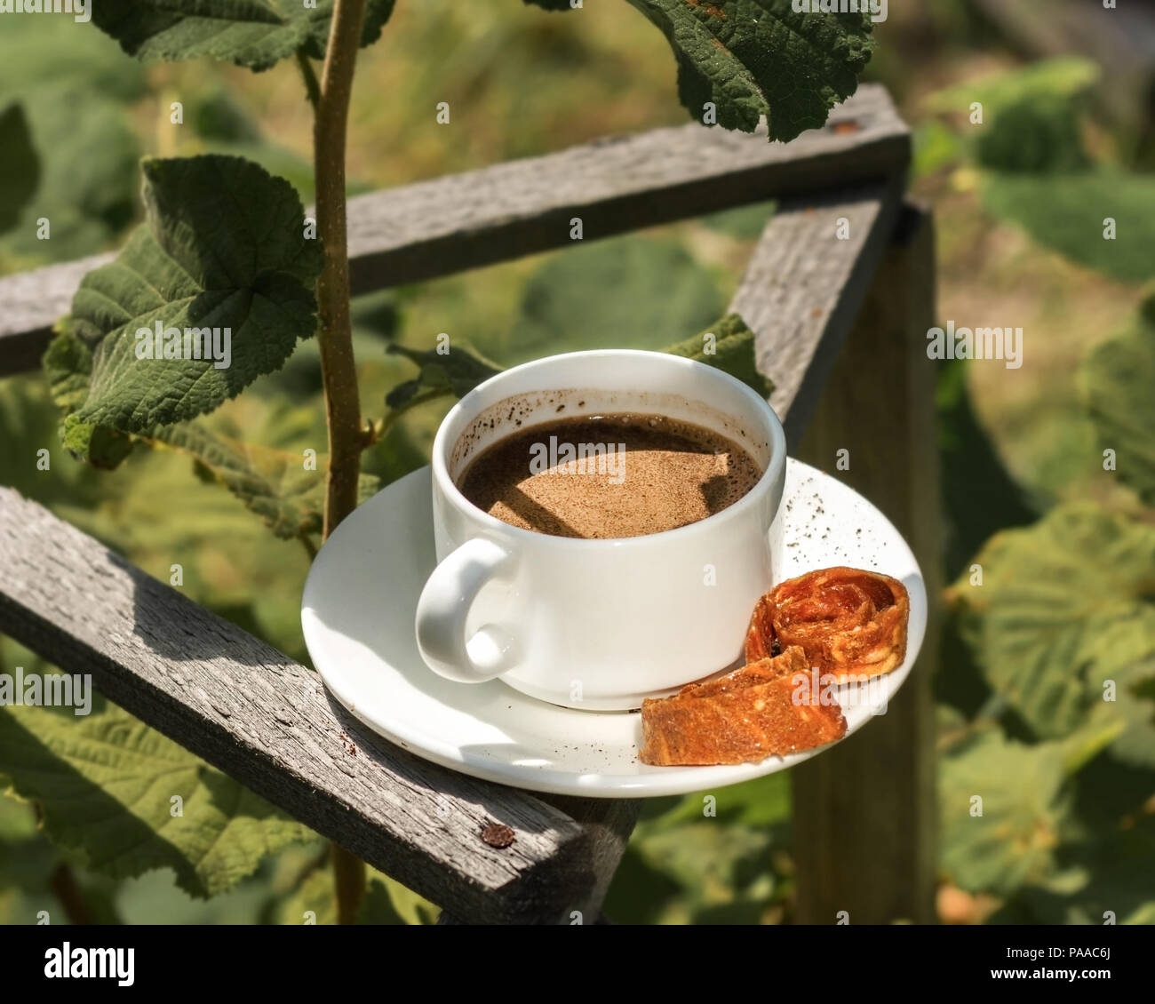 Vita lenta. Una tazza di caffè in giardino sullo sfondo di cespugli Foto Stock