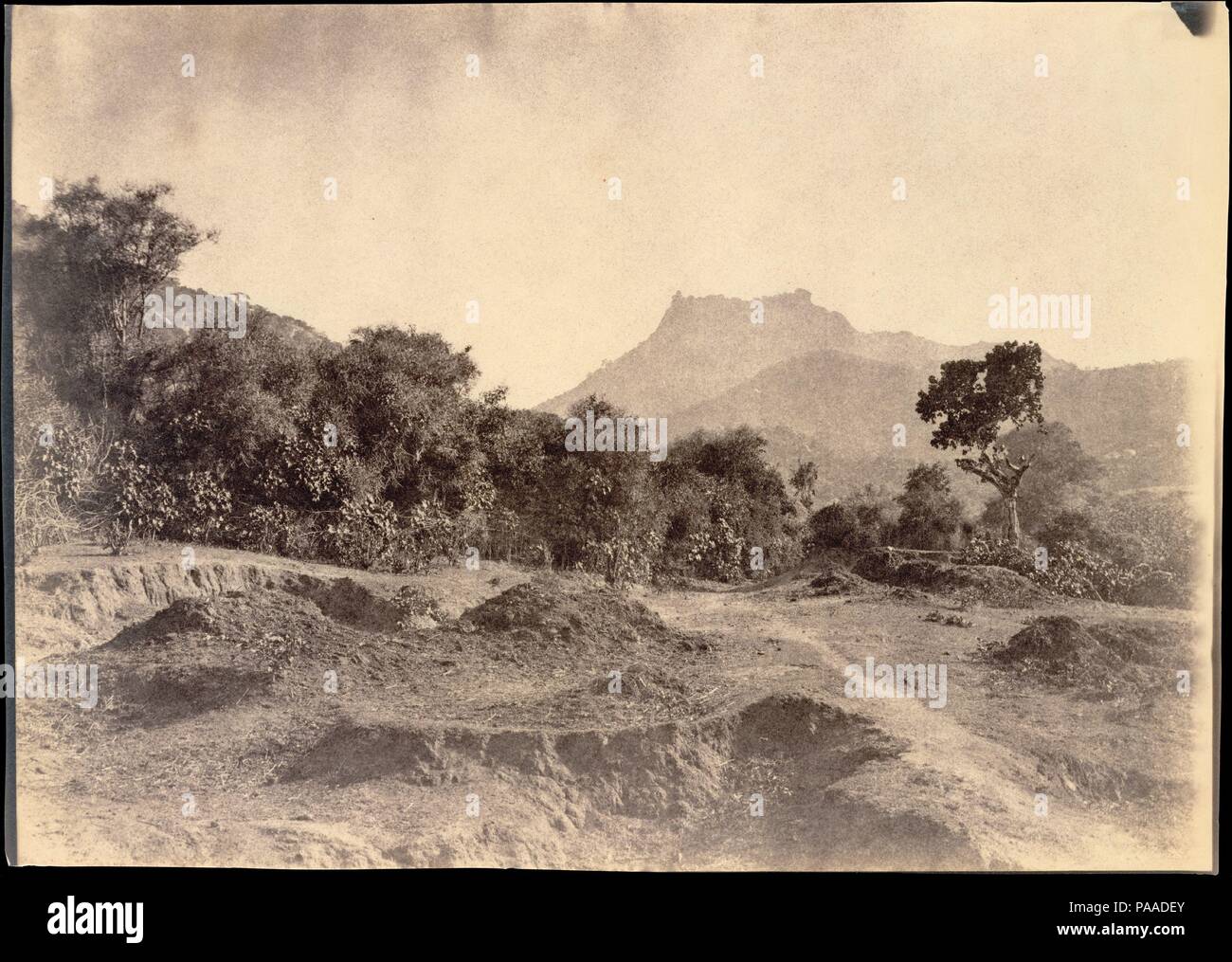 Virabadra farmaco come visto da vicino al sito dell'ultima visualizzazione. Artista: Linnaeus trippa (British, Devonport (Plymouth Dock) 1822-1902 Devonport). Dimensioni: 27,7 x 38,2 cm (10 7/8 x 15 1/16 in. ). Data: Dicembre 1857-gennaio 1858. La trippa è stata una carriera ufficiale militare in India e di governo fotografo di Madras Presidenza nei tardi 1850s. Tra dicembre 1857 e aprile 1858 ha realizzato un ambizioso e difficile tour dell India meridionale del distretto per creare un record per il British governo coloniale della regione di antichità, scene di importanza storica e fenomeni naturali. Sebbene il t Foto Stock