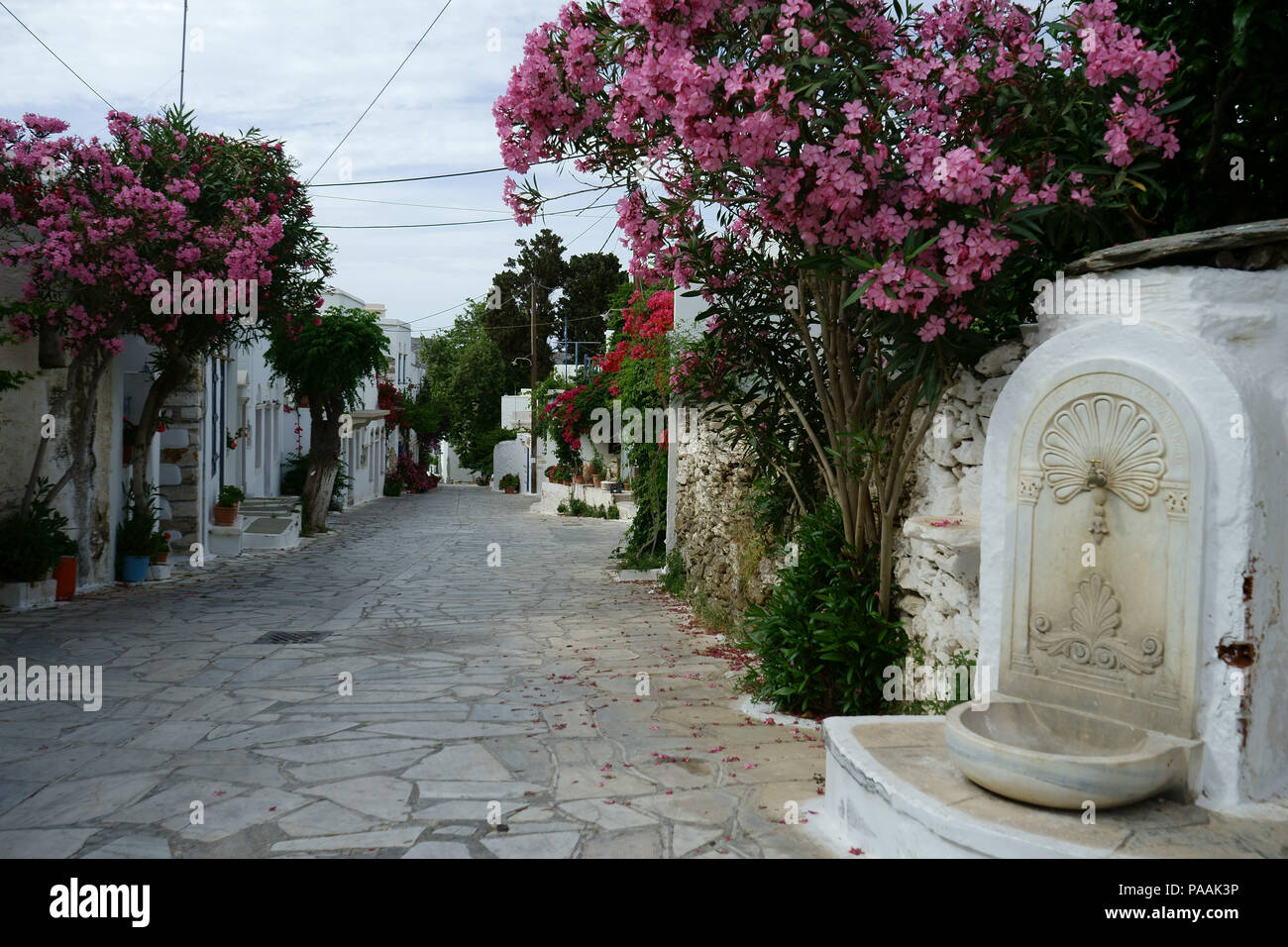 Il marmo intonacata street con fontana in marmo e oleandri fioriti, Pyrgos, isola di Tinos. Cicladi Grecia Foto Stock