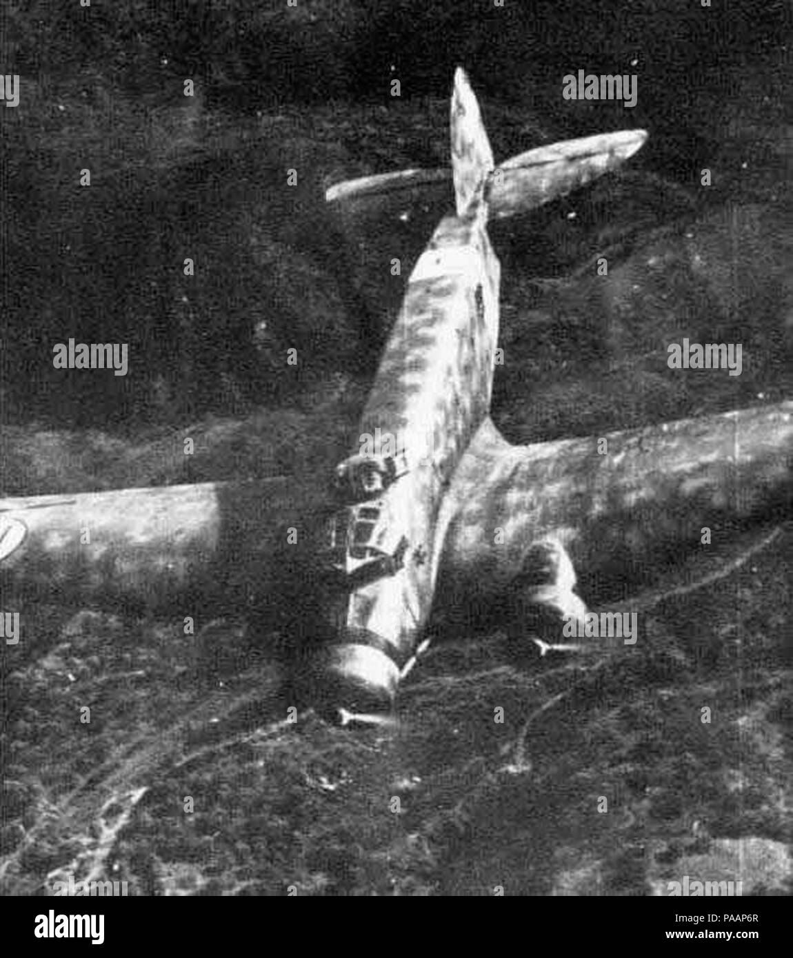 229 Savoia-Marchetti SM.81 03 Foto Stock