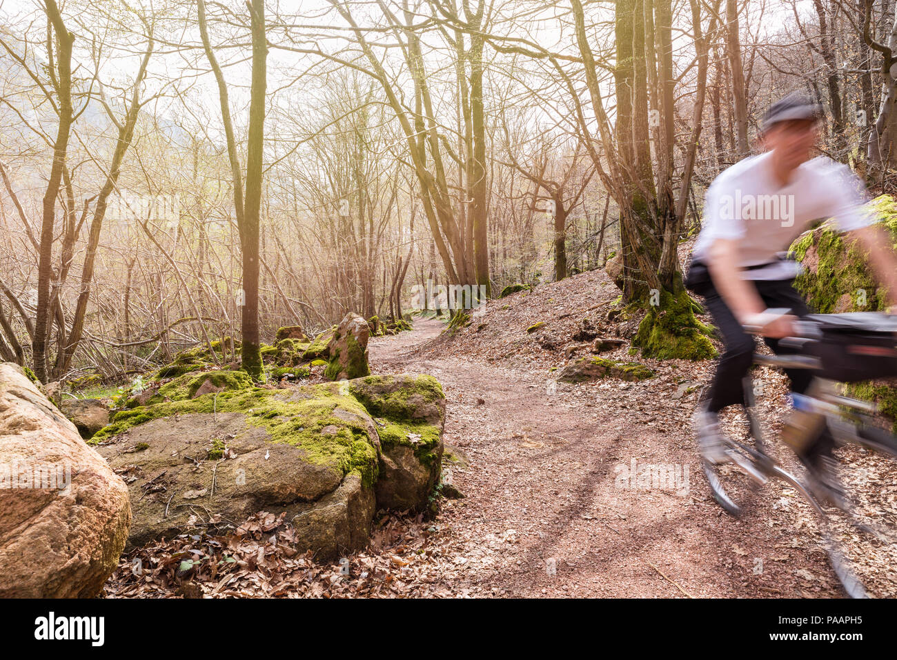 Ciclista con mountain bike su un percorso sterrato nei boschi, motion blur. Sport e attività outdoor in natura. Sfondo luminoso con lo spazio di testo Foto Stock