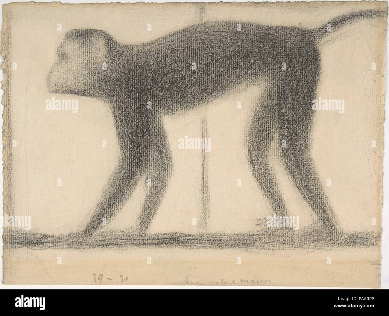 Monkey. Artista: Georges Seurat (francese, Parigi Parigi 1859-1891). Dimensioni: 12 1/4 x 9 3/8 in. (31,1 x 23,9 cm). Data: 1884. Seurat impartito un intramontabile, aspetto idealizzato di questa scimmia mostrando l'animale in stretto profilo, con il minimo dettaglio e indipendente di un'impostazione. Egli ha definito gli aspetti essenziali della scimmia di luce e di ombra e non attraverso la linea, utilizzando la schiusa e tratteggio incrociato di Conté crayon e trattenere il supporto cartaceo come fonte di luce. Questo studio è uno dei tanti che Seurat realizzato per 'La Grande Jatte" (1886, Art Institute di Chicago), la canonica immagine moderna o Foto Stock