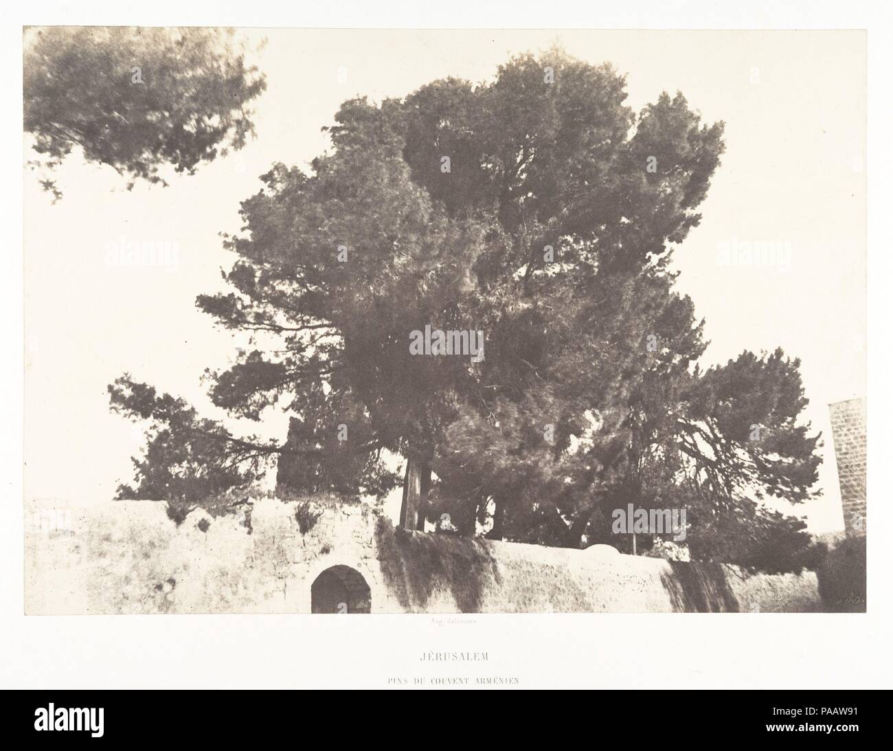 Jérusalem, Pins du Couvent arménien. Artista: Auguste Salzmann (Francese, 1824-1872). Dimensioni: Immagine: 23 x 32,9 cm (9 1/16 x 12 15/16 in.). Montaggio: 44,5 x 59,4 cm (17 1/2 x 23 3/8 in.). Stampante: Imprimerie photographique de Blanquart-Évrard, à Lille (francese, attivo 1851-55). Data: 1854. Museo: Metropolitan Museum of Art di New York, Stati Uniti d'America. Foto Stock
