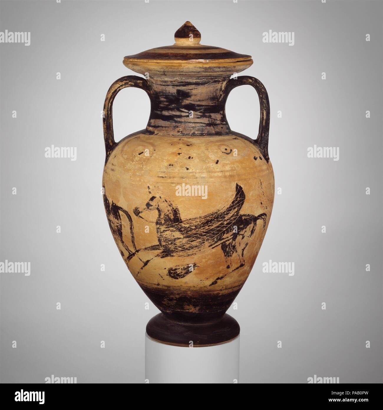 Collo di terracotta-anfora (JAR) con coperchio. La cultura etrusca. Dimensioni: H.: 15 7/16 in. (39,2 cm). Data: ca. 525-500 A.C. Attorno al corpo, cavalli alati e una sirena sulla spalla, edera tra gli occhi la Micali pittore era il più prolifico nero etrusco-figura artista dell'ultimo trimestre del sesto secolo a.c. La sua officina sembra essere stato situato a Vulci, dove una proporzione elevata delle sue opere sono state anche trovate. Il suo stile è distintivo in quanto egli dà l impressione di dipingere i suoi soggetti con smalto, ora più strettamente, spesso in modo lasco. Sebbene egli utilizza linee incise per articu Foto Stock