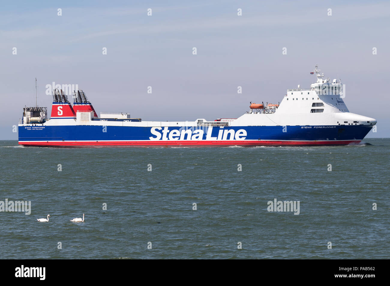 STENA Forerunner. Stena Line è uno dei più grandi del mondo gli operatori di traghetto e la più grande di proprietà privata compagnia di spedizione in tutto il mondo. Foto Stock