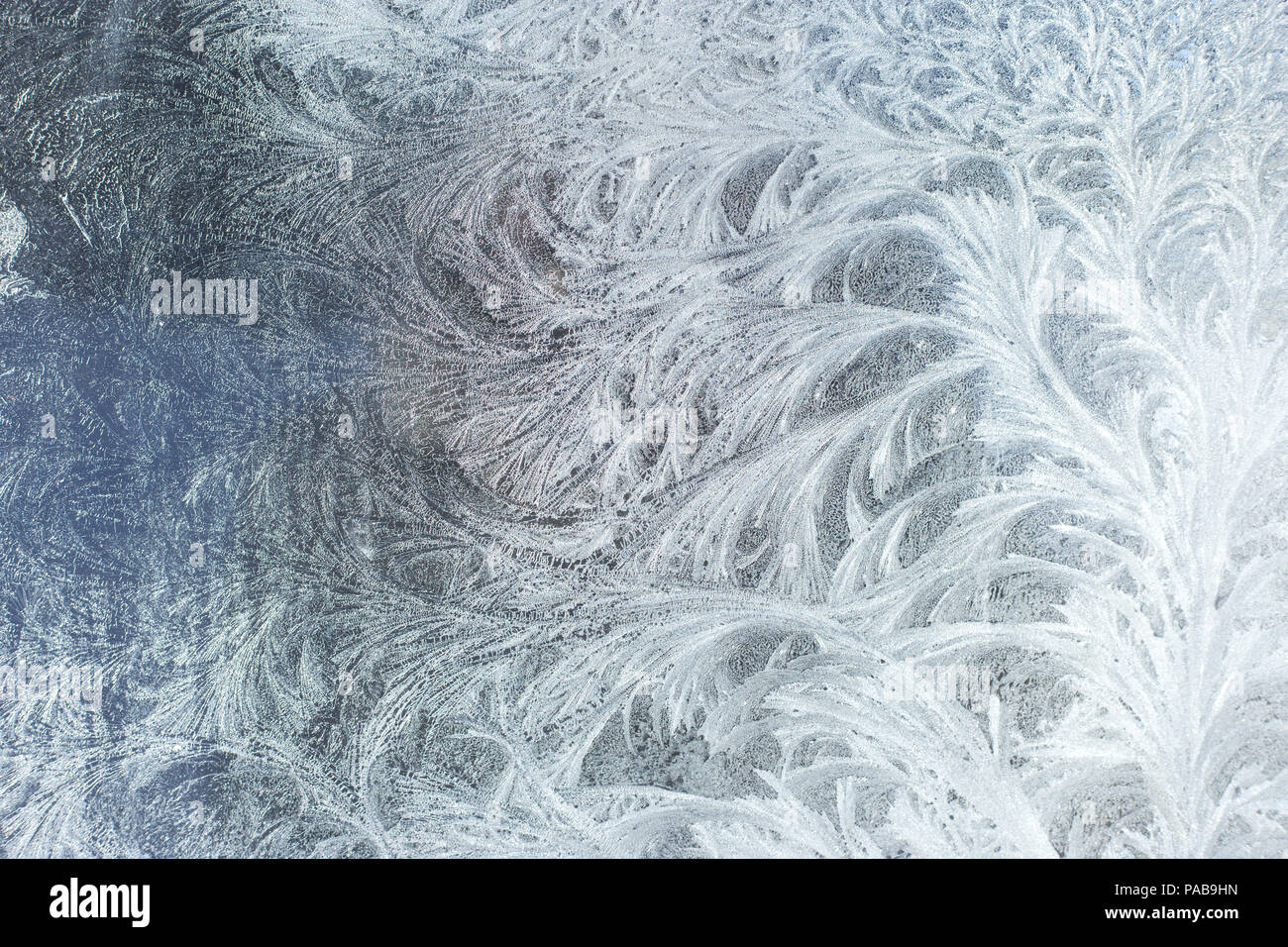 Il pupazzo di neve di vetro sullo sfondo di ghiaccio, naturali bellissimi fiocchi di neve. Frost pattern di ghiaccio. Foto Stock