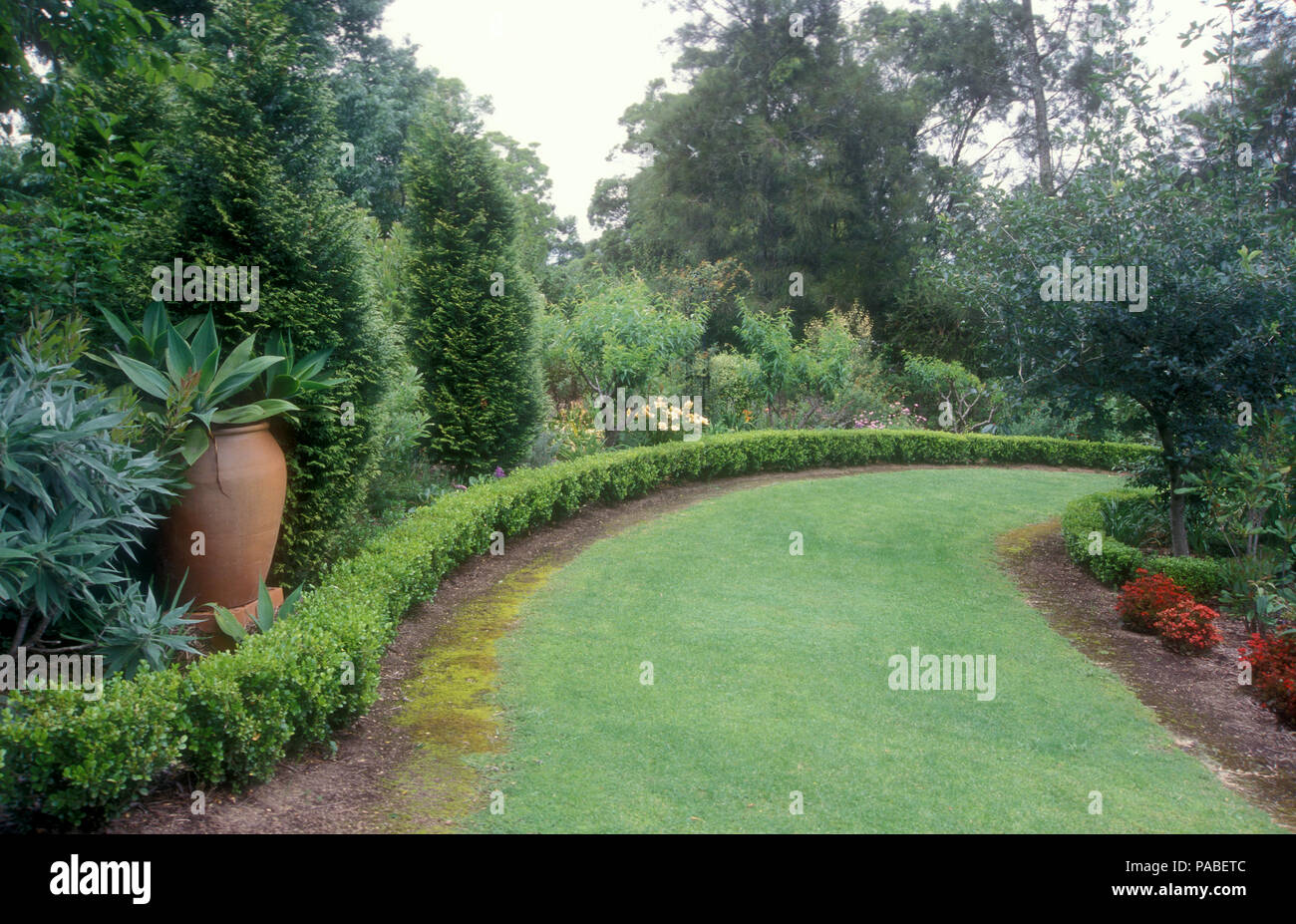 Ampio giardino nelle Blue Mountains regione di Sydney, Nuovo Galles del Sud, Australia con bassa copertura, prato e un assortimento di alberi e cespugli e arbusti. Foto Stock