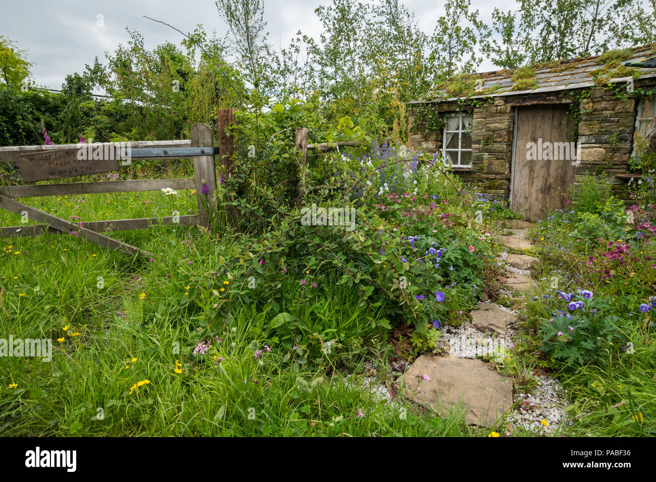 Spettacolo bellissimo giardino (naturale di piantagione e colorati di bordi e rustico barn cottage) - tempo di fieno nei Dales, RHS Chatsworth Flower Show, Inghilterra, Regno Unito. Foto Stock