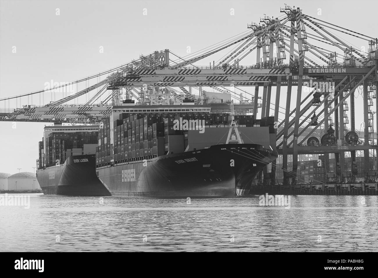 Foto in bianco e nero delle navi portacontainer Evergreen, SEMPRE INTELLIGENTI e SEMPRE CARICHE, caricate e scaricate nel porto di Los Angeles, California, USA. Foto Stock