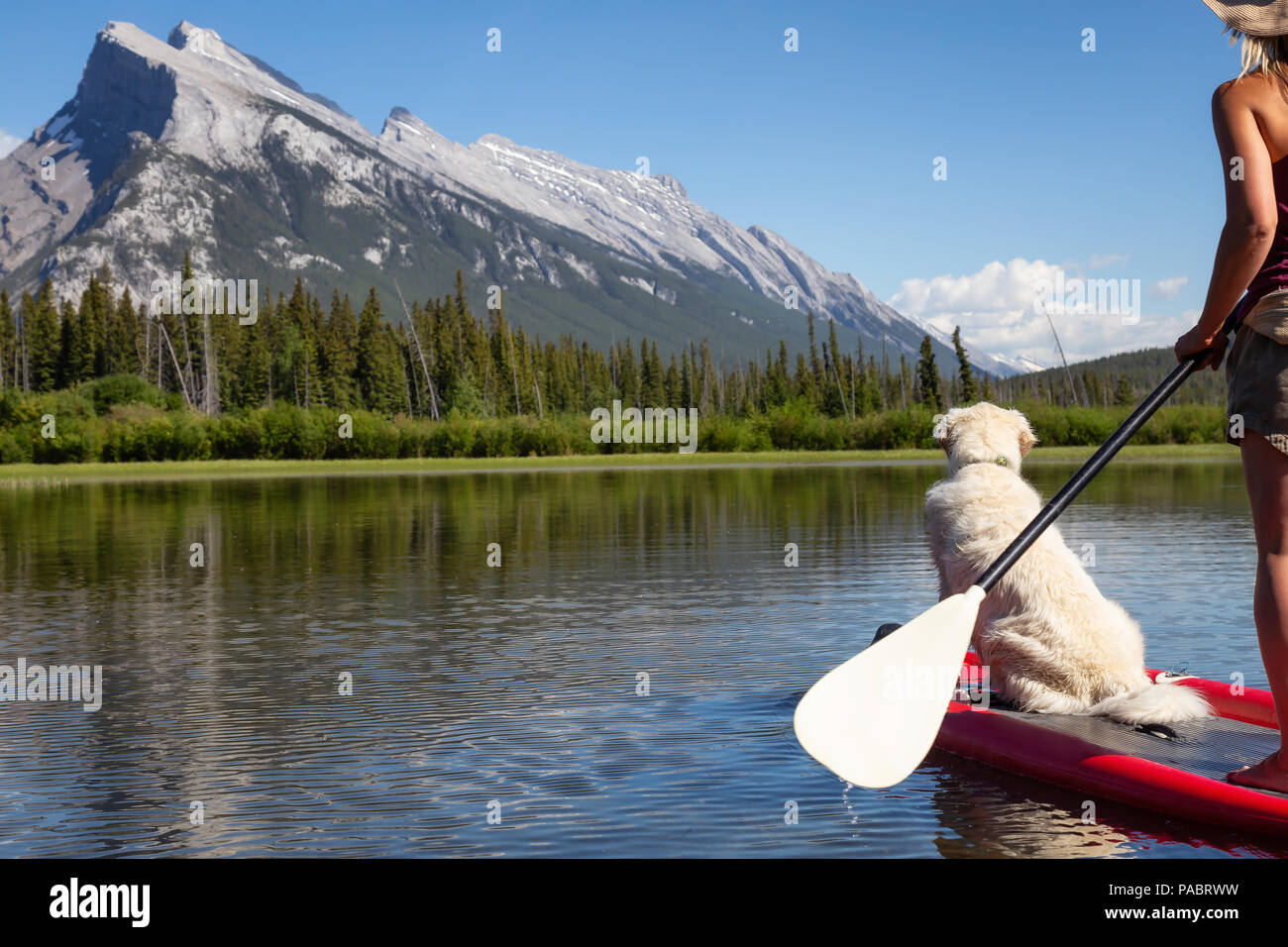 Avventurosa donna su una scheda a pale con il suo cane sta godendo la bella e soleggiata giornata estiva sul lago. Preso in Banff, Alberta, Canada. Foto Stock