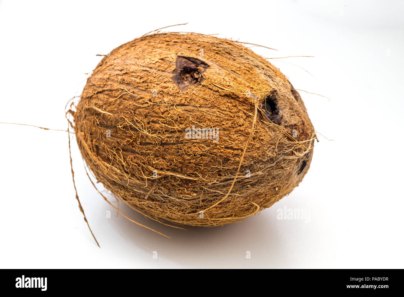 Il cocco isolati su sfondo bianco Foto Stock