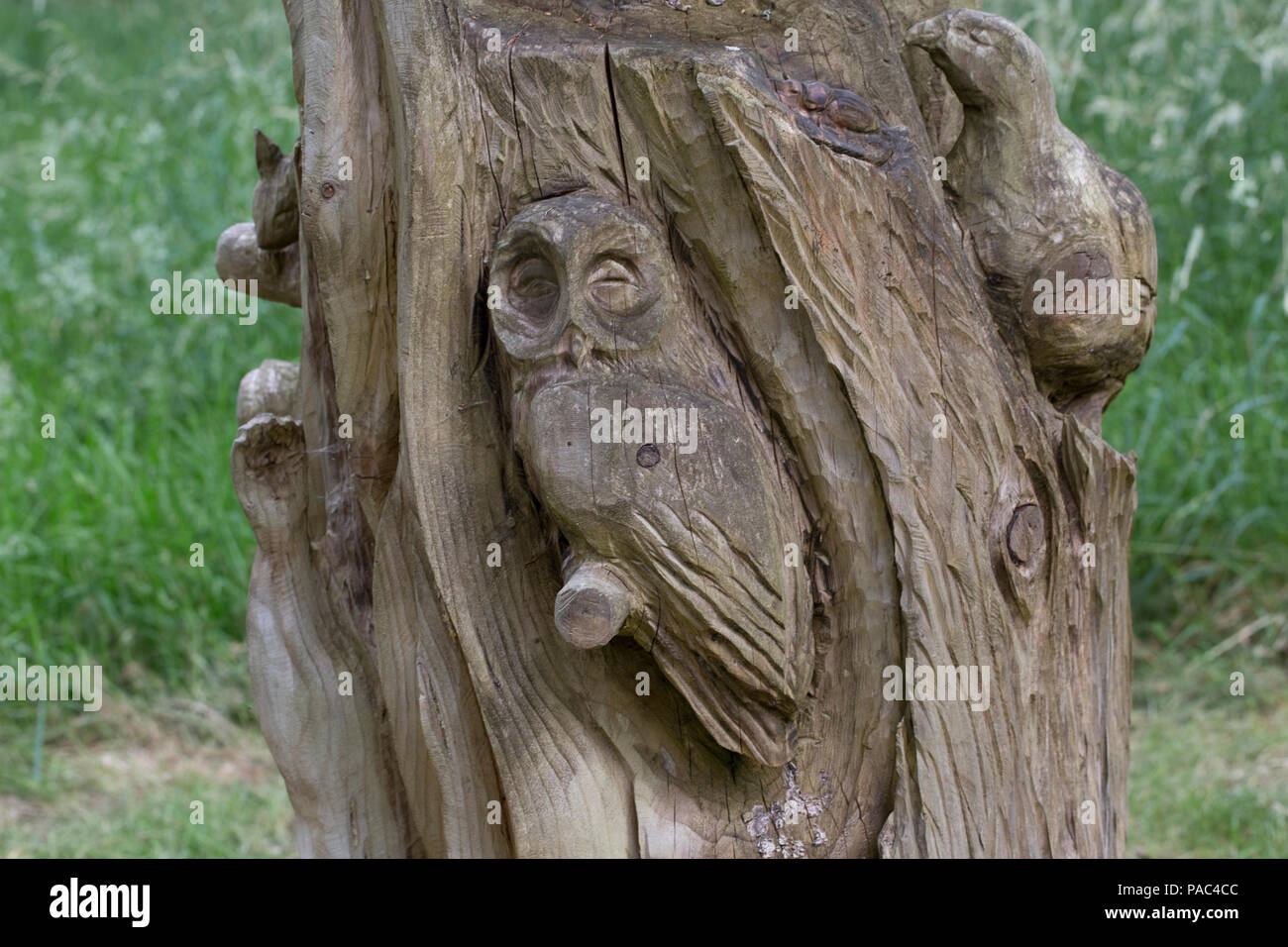 Albero scolpito moncone con fauna selvatica sculture in legno di Cree RSPB Riserva Naturale Newton Stewart Dumfries and Galloway Scotland Foto Stock