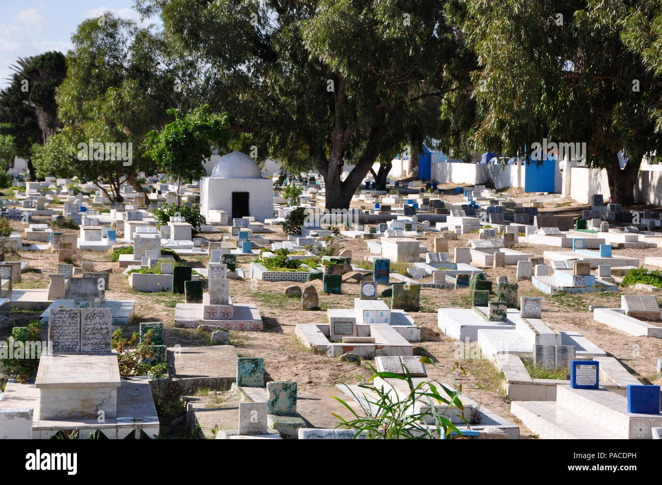 Hammamet: cimitero musulmano Foto Stock