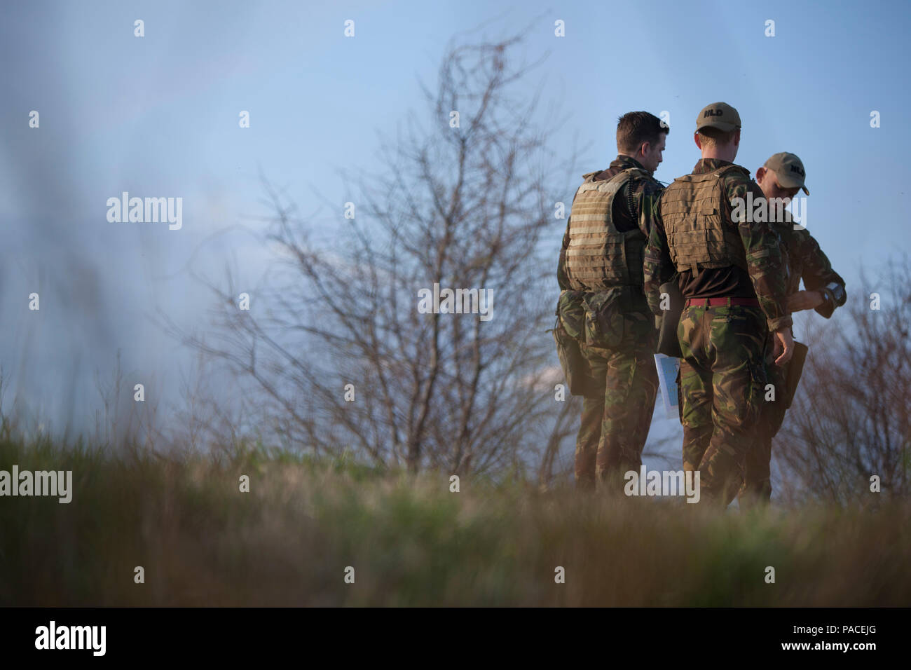 Marines olandese di partecipare al terminale comune centralina aria formazione a Piney Island, N.C., 14 marzo, 2016. La Dutch bi-formazione laterale è stata condotta per rafforzare strutture militari relazioni e aumentare l'interoperabilità tra nazioni partner. (U.S. Marine Corps foto di Cpl. Austin A. Lewis/rilasciato) Foto Stock Marines olandese di partecipare al terminale comune centralina aria formazione a Piney Island, N.C., 14 marzo, 2016. La Dutch bi-formazione laterale è stata condotta per rafforzare strutture militari relazioni e aumentare l'interoperabilità tra nazioni partner. (U.S. Marine Corps foto di Cpl. Austin A. Lewis/rilasciato) Foto Stock