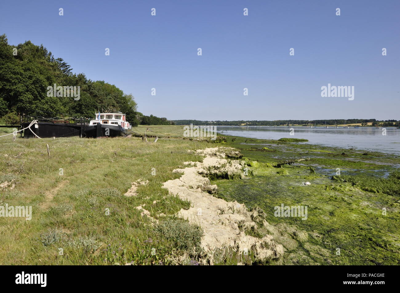 Fiume Orwell foreshore, vicino a Pin Mill Suffolk Foto Stock