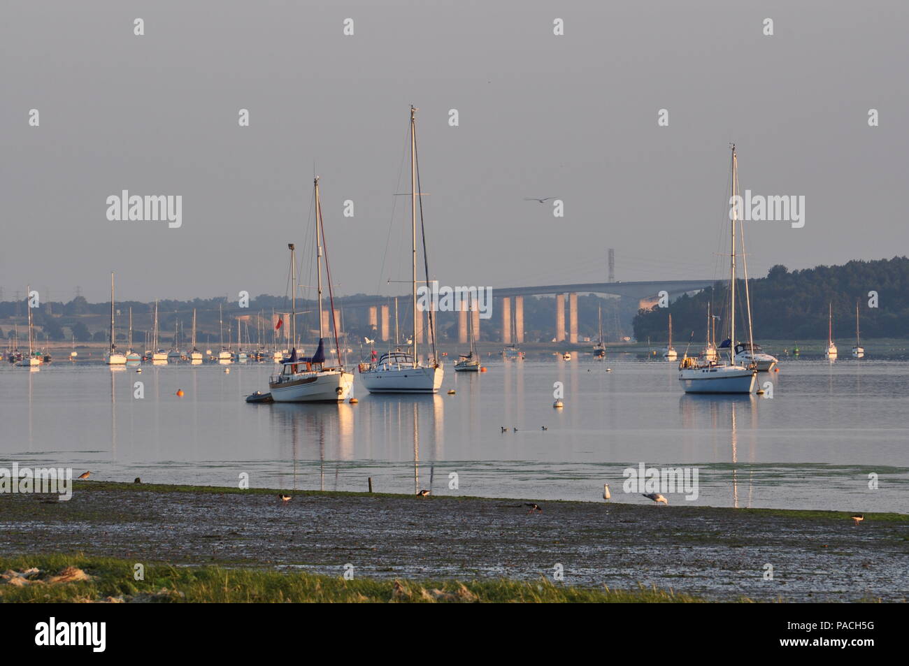 Orwell Ponte sul Fiume Orwell Suffolk, Inghilterra, Regno Unito Foto Stock