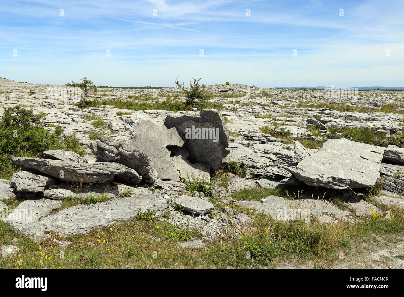 Il Burren 'grande rock' è una regione di interesse ambientale principalmente situato nel nordovest della contea di Clare, Irlanda, dominato dal Carso ghiacciate Foto Stock