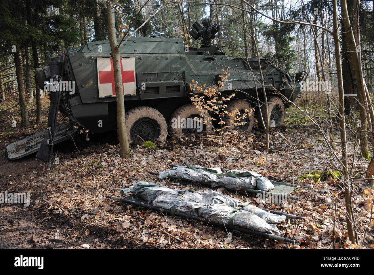 Una M1133 Stryker, evacuazione medica veicolo della seconda Stryker reggimento di cavalleria sulla manovra Baumholder Area Formazione 'H' DURANTE GLI STATI UNITI Europa dell'esercito di esperti medici di campo concorrenza badge serve come veicolo in cui i candidati dovranno caricare i loro cucciolate su. I 195 candidati provenienti da forze statunitensi in Europa, compresi 24 partecipanti provenienti da sette gli alleati della NATO, sono in concorrenza in cinque giorni di sfida, a Lager Aulenbach, Germania, Marzo 11-24, 2016. Il test è una rigorosa valutazione delle abilità mentali e fisiche in Soldier e attività mediche che richiedono un elevato grado di capacità e di messa a fuoco. Passando le tariffe Foto Stock