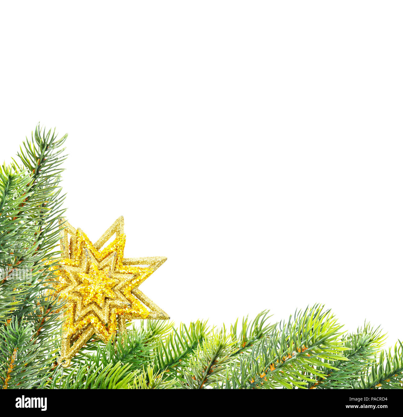 Composizione di Natale verde con rami di abete e golden star isolato su uno sfondo bianco, con spazio per il testo Foto Stock