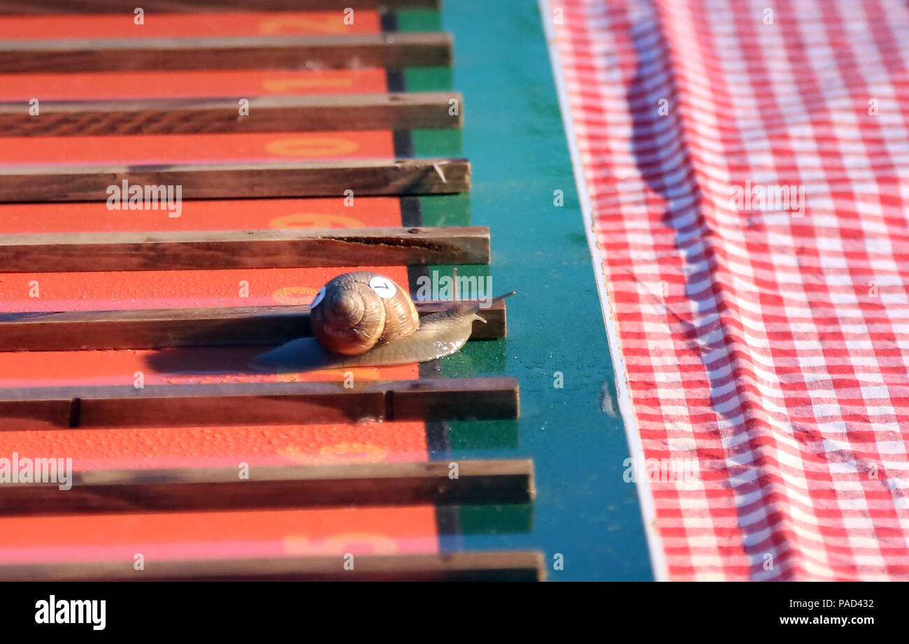 Benkovac, Croazia. 21 Luglio, 2018. Una lumaca nelle gare di 7 lumaca croato gara del campionato in Benkovac, Croazia, il 21 luglio 2018. Credito: Dusko Jaramaz/Xinhua/Alamy Live News Foto Stock